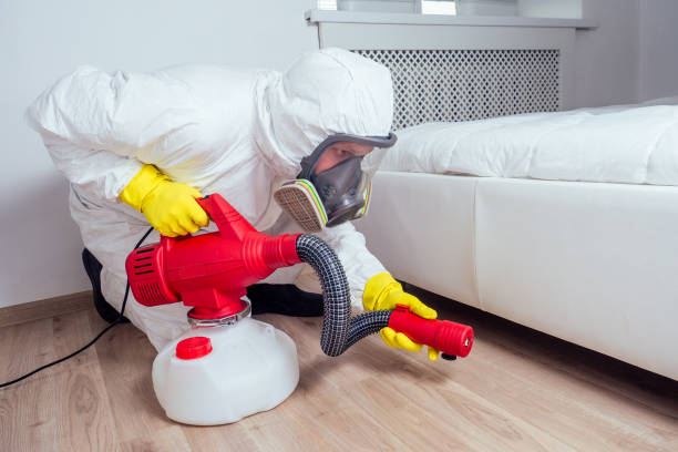 Best Residential Pest Control  in Long Lake, MN